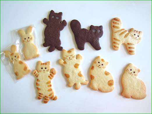 ガルちゃん猫カフェ15号店開店しました♪（初めての方も大歓迎！） 