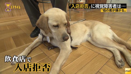 盲導犬同伴に...法律施行後も「入店拒否」