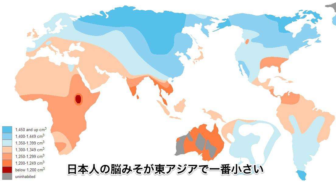 日本人論 - にじ魂