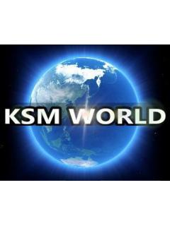 【KSM】これが「スヒョン文書」ニダ　全文／日本乗っ取り大作戦！:KSM WORLD　真実を追究する - ブロマガ