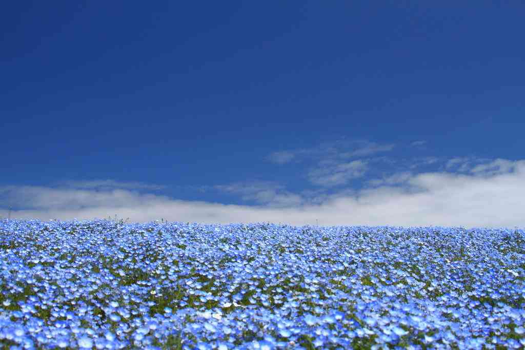 【惚気注意！荒らし僻み厳禁！】最近お付き合いが始まった方【お花畑全開】