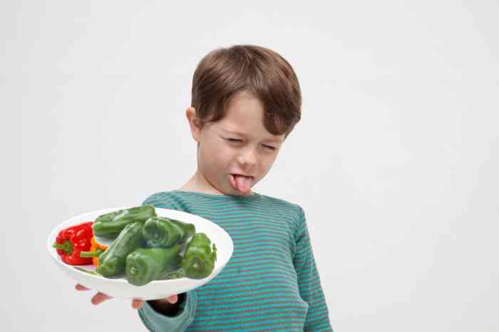 自分が苦手な食べ物を子供に食べさせてますか？
