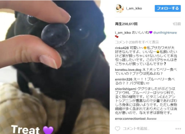水原希子の愛犬Instagram画像が「ワンちゃんかわいそう」と物議に