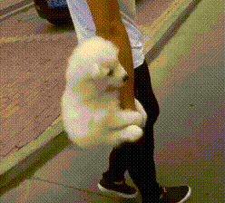 明るい気分になれるGIF画像を貼っていくトピ