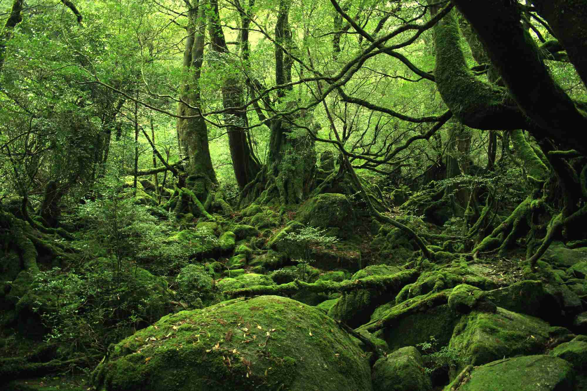 夏の観光地の画像を貼っていくトピ
