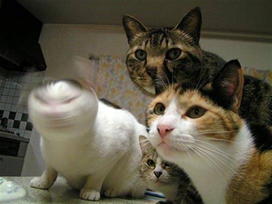 激しいな！(笑)な画像を貼るトピ