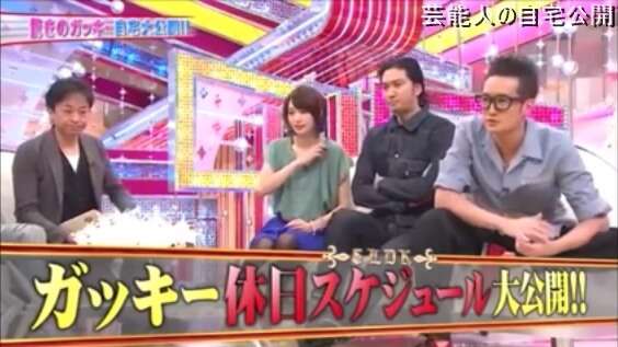 【芸能人の自宅】ガッキーこと新垣結衣さんの自宅【画像あり】
