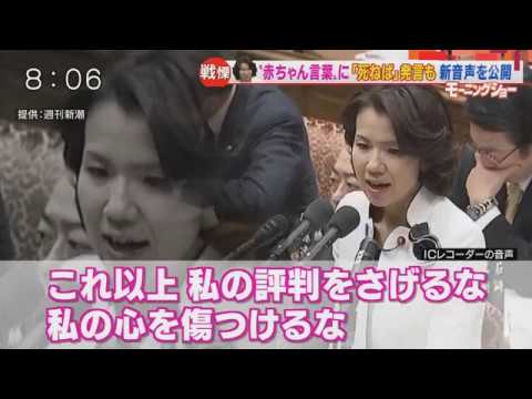 ＜絶叫暴言＞豊田真由子様の「赤ちゃん言葉」新音声が公開 - YouTube