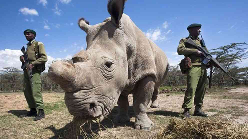 巨大生物の画像を貼っていくトピ