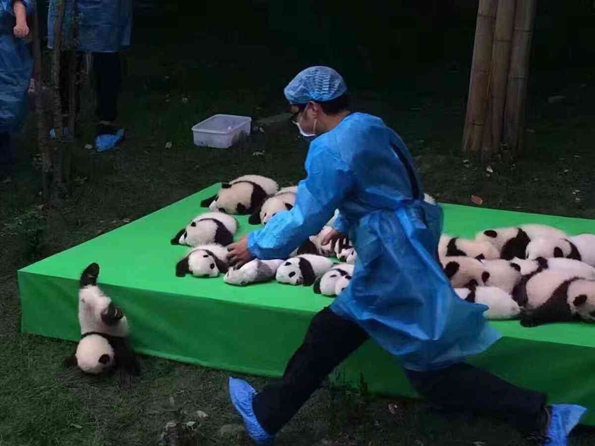 本日の癒しトピです。