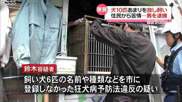 犬10匹超放し飼い　住民から苦情…男逮捕