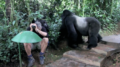巨大生物の画像を貼っていくトピ