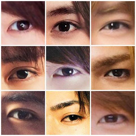 誰の眉の形が好きですか？