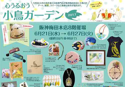 オカメインコ大好きな方、大集合！