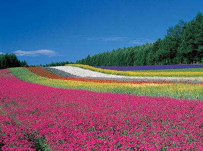 画像で北海道を感じるトピ