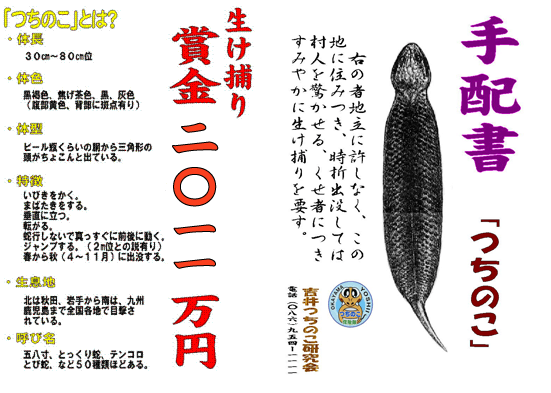 本日の癒しトピです。