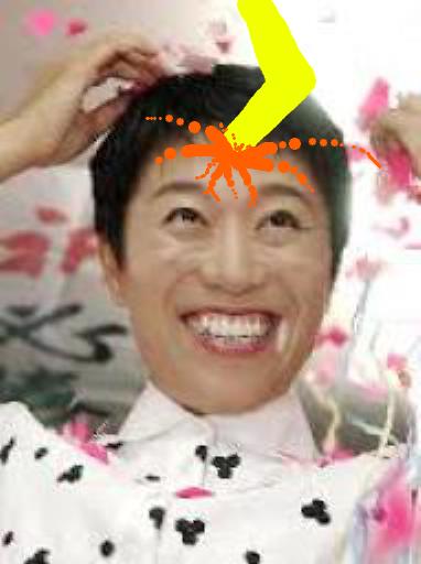 民進党・辻元清美議員、皇室「生理的にいや」 30年前の著書で発覚、天皇制を「悪の根源」とまで