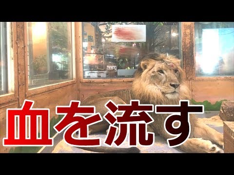 【炎上】動物の管理がひどい？めっちゃ触れる動物園に行ってみたら衝撃の新事実【ピエリ守山】 - YouTube