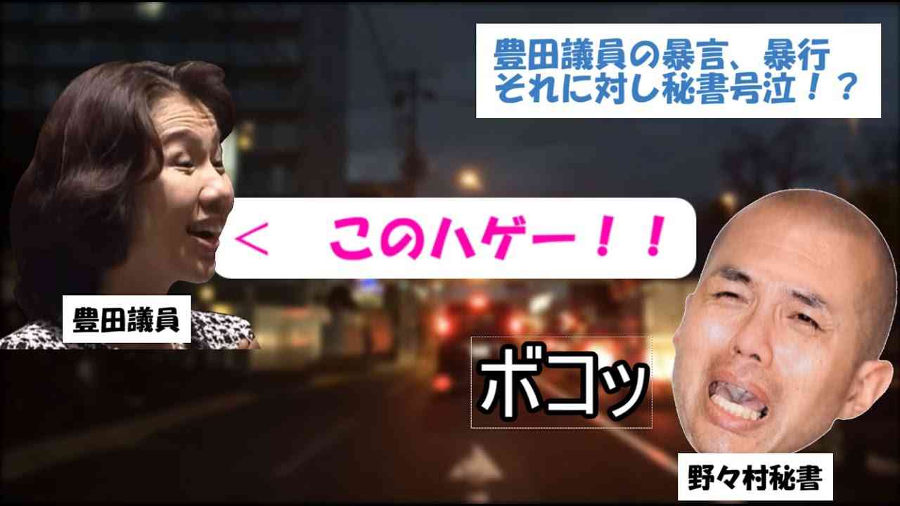 もし豊田議員の秘書が野々村元議員だったら - YouTube