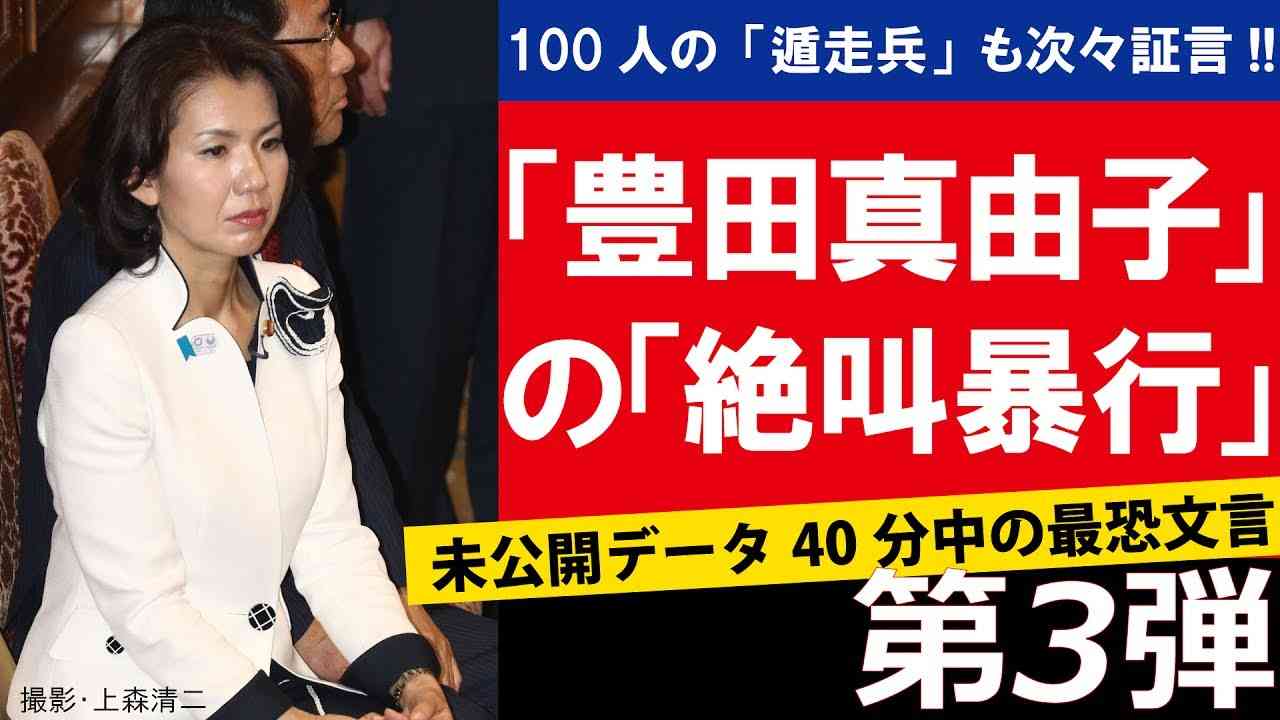 【第3弾】〈物事にはねえ！裏と表があんの!!〉　さらなる絶叫暴力「豊田真由子」代議士 - YouTube