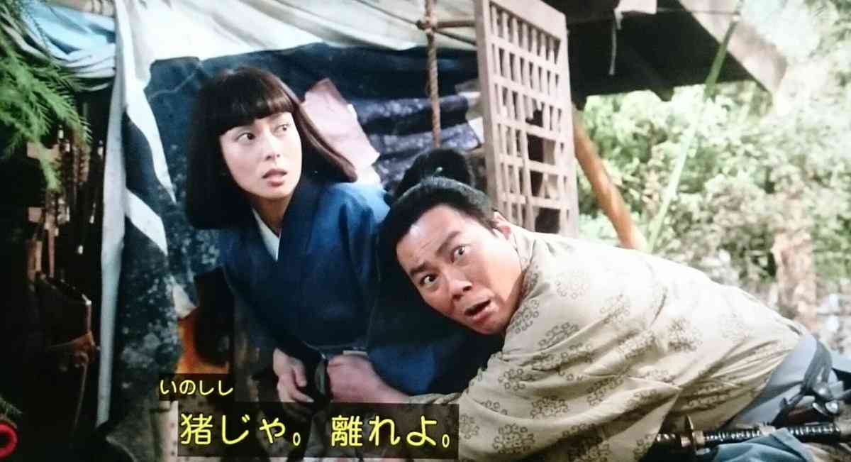 【実況・感想】おんな城主　直虎（22）「虎と龍」