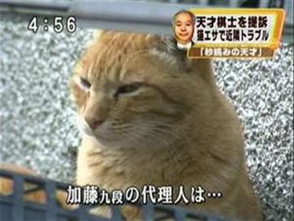 加藤一二三九段を語りたい