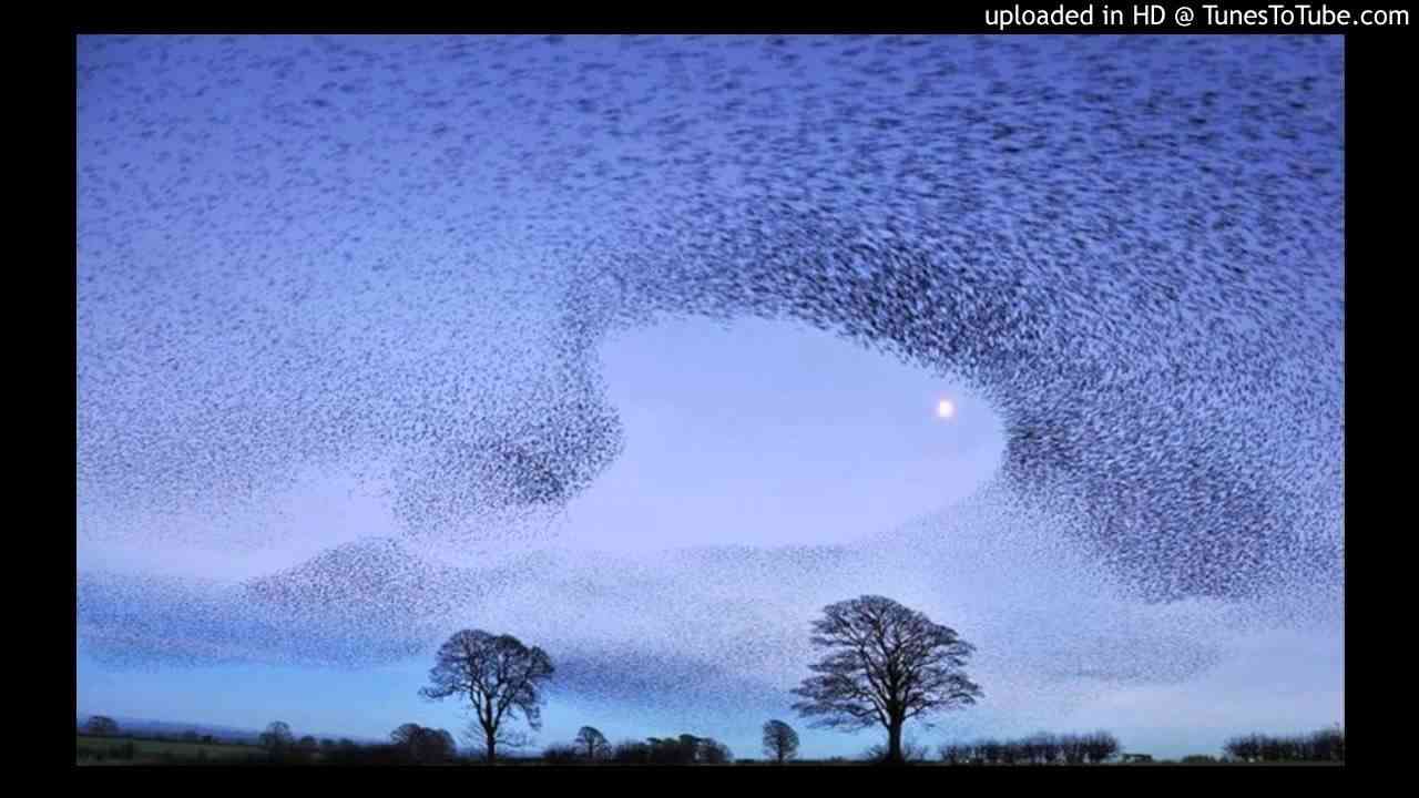 Ulrich Schnauss - I Take Comfront From Your Ignorance - YouTube