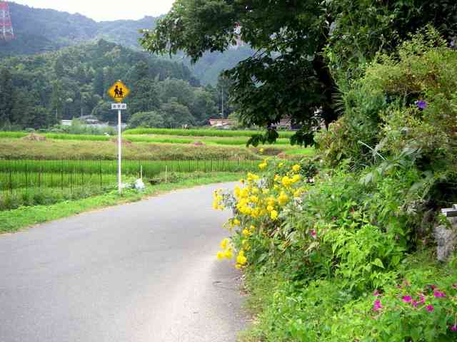 どこか切ない夏の画像を貼っていくトピ