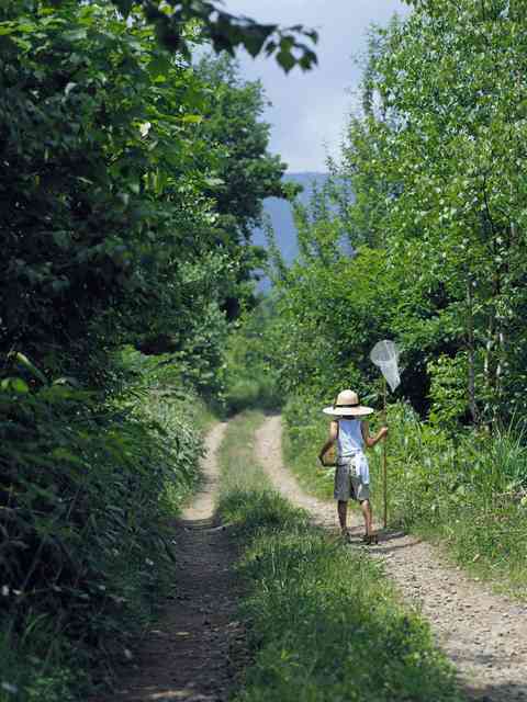 【画像】夏の、和風のものが見たい