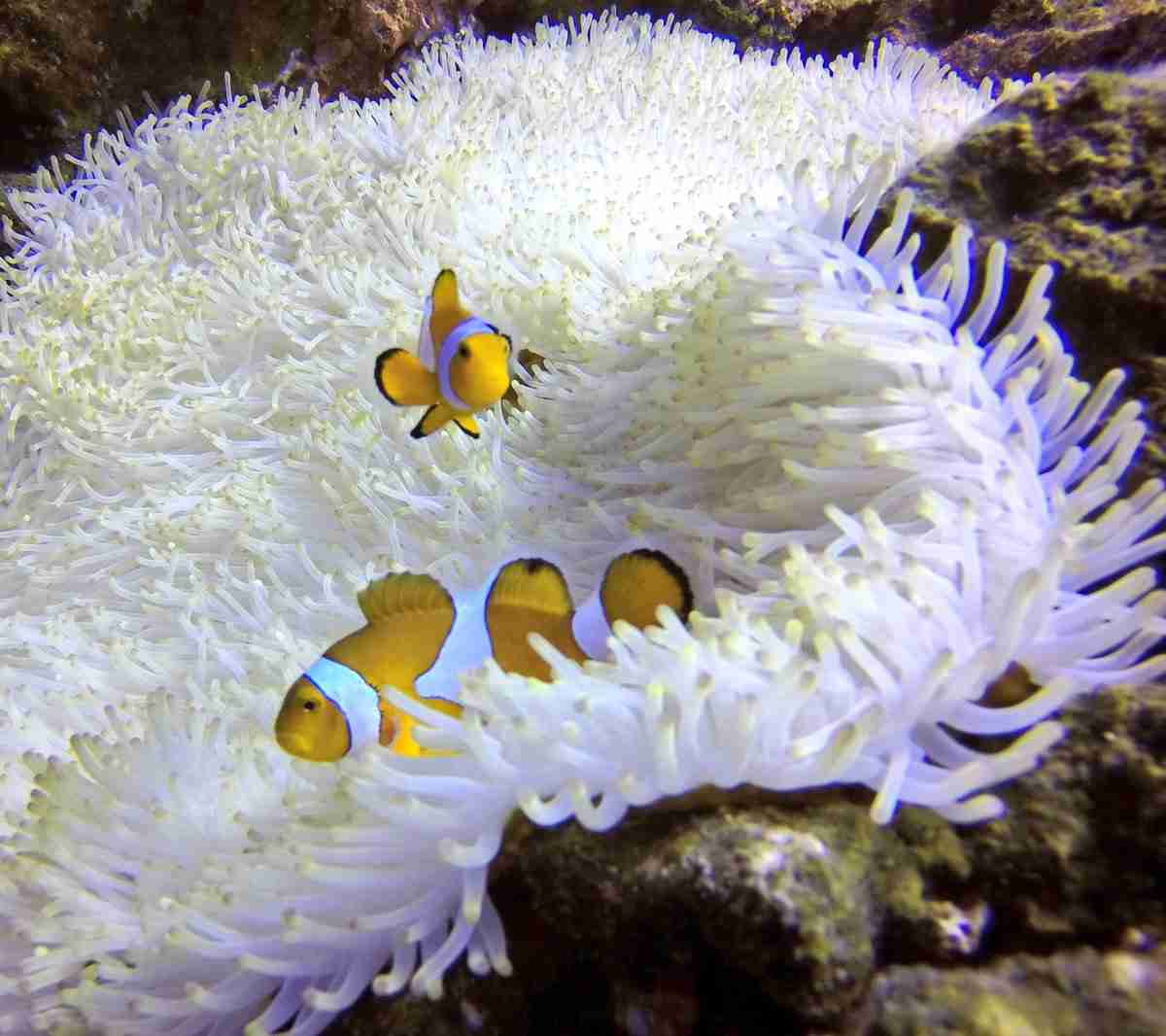 ・・海底散策・・・