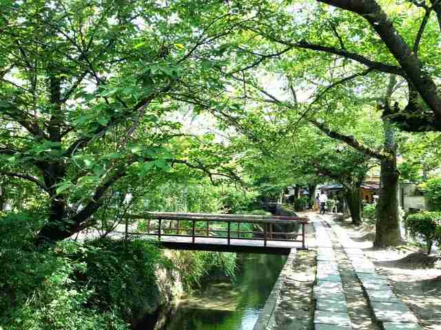 どこか切ない夏の画像を貼っていくトピ