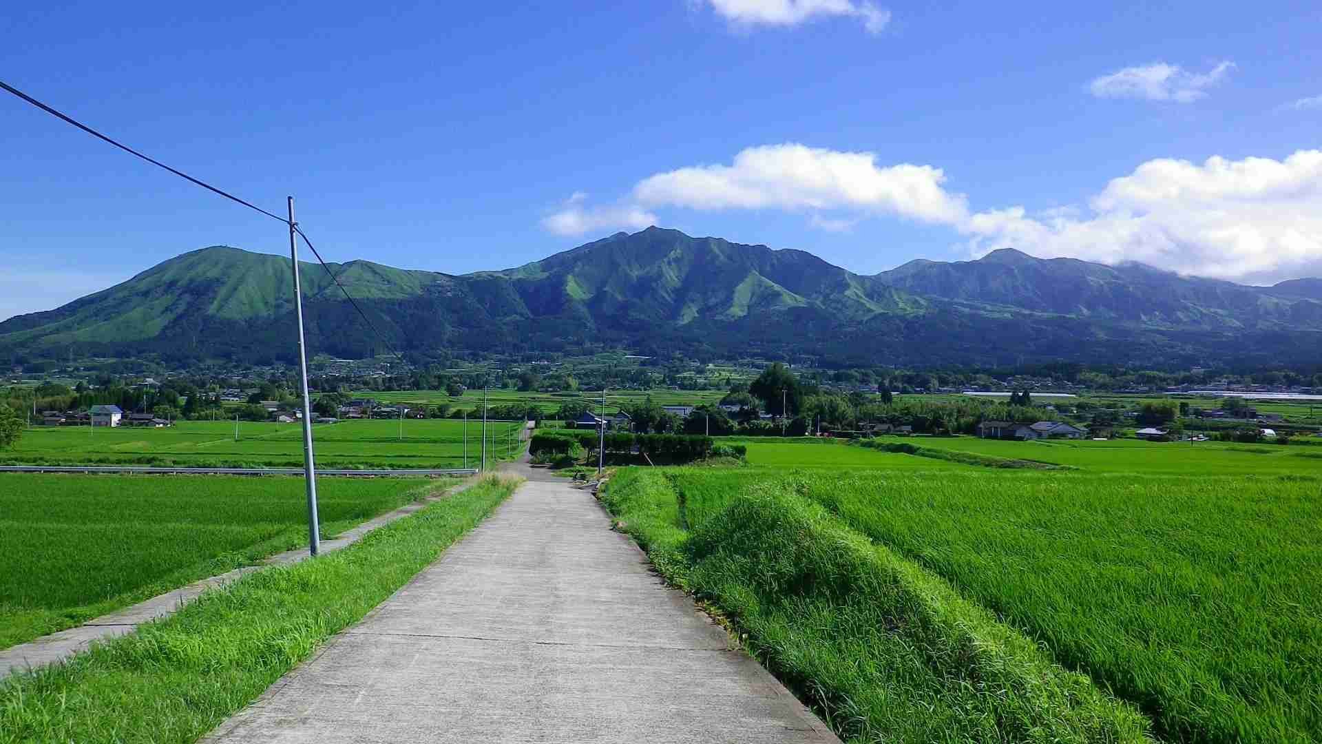 どこか切ない夏の画像を貼っていくトピ