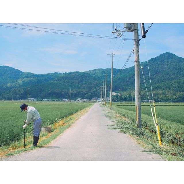 どこか切ない夏の画像を貼っていくトピ