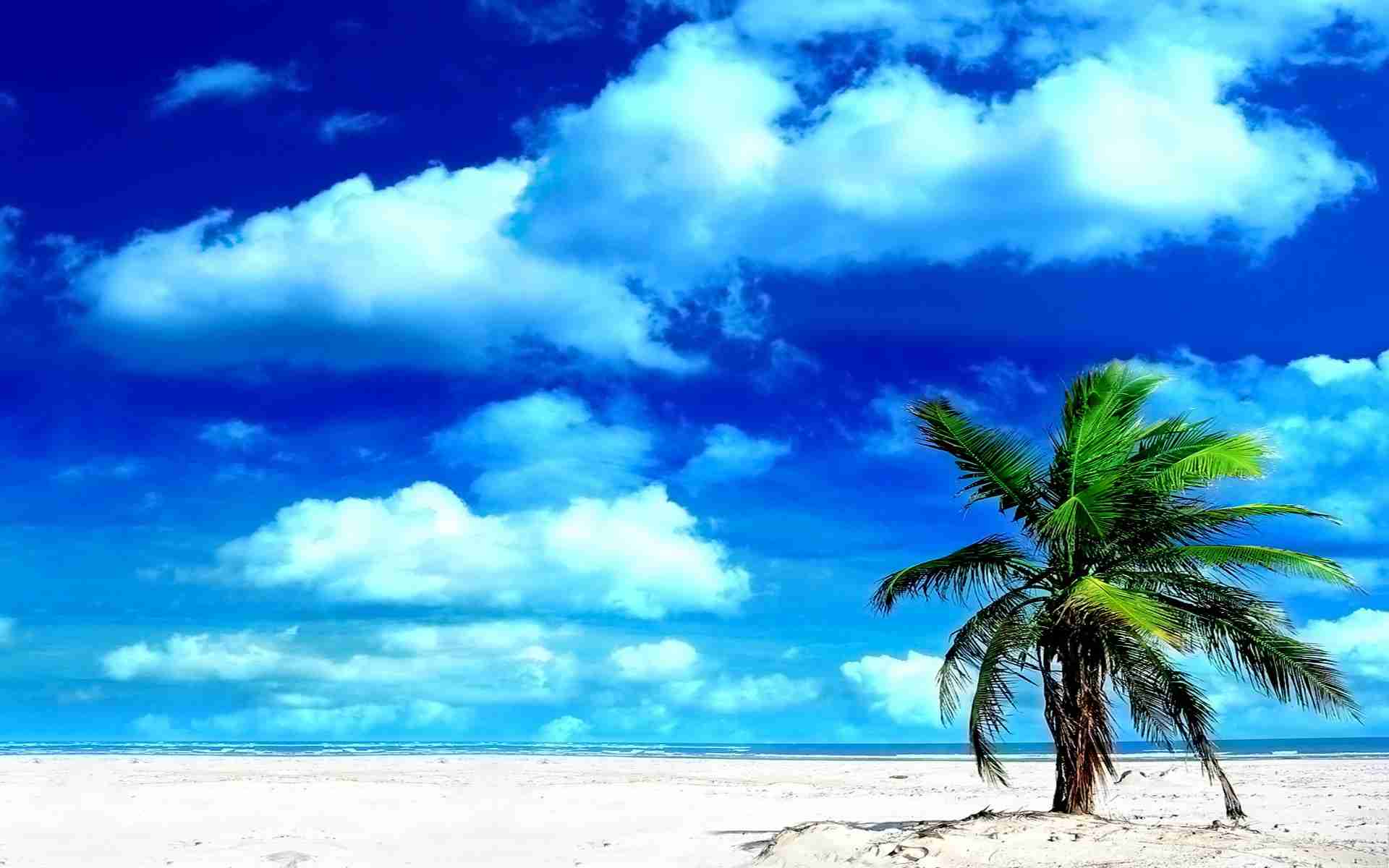 どこか切ない夏の画像を貼っていくトピ