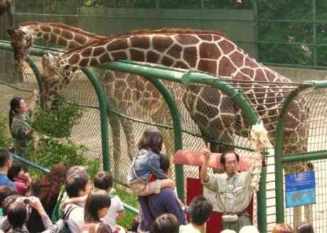 巨大生物の画像を貼っていくトピ