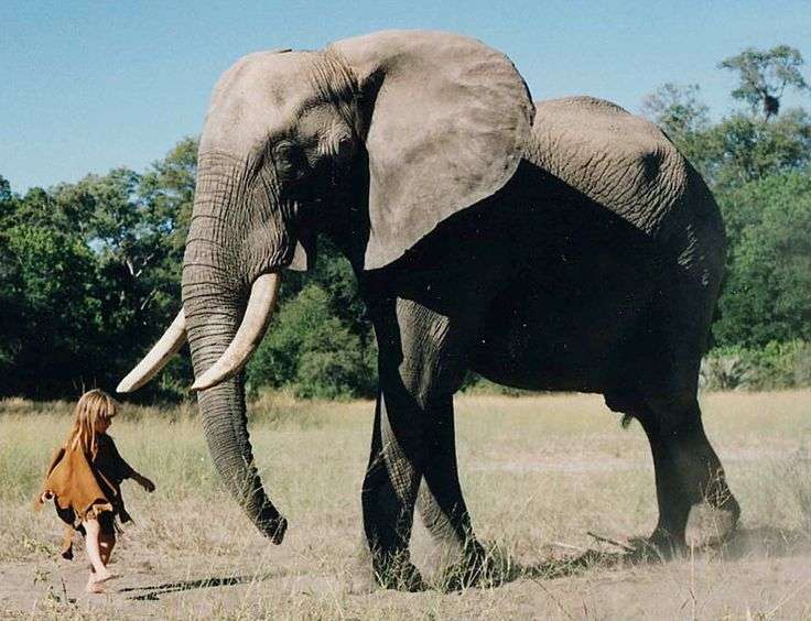 巨大生物の画像を貼っていくトピ