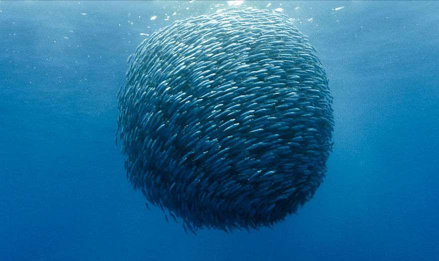 ・・海底散策・・・