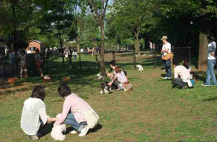 昭和記念公園を歩けば、年間約2億円の医療費を抑制する効果？国交省試算