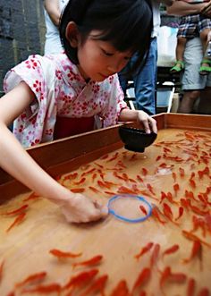 【画像】夏の、和風のものが見たい