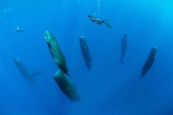 ・・海底散策・・・