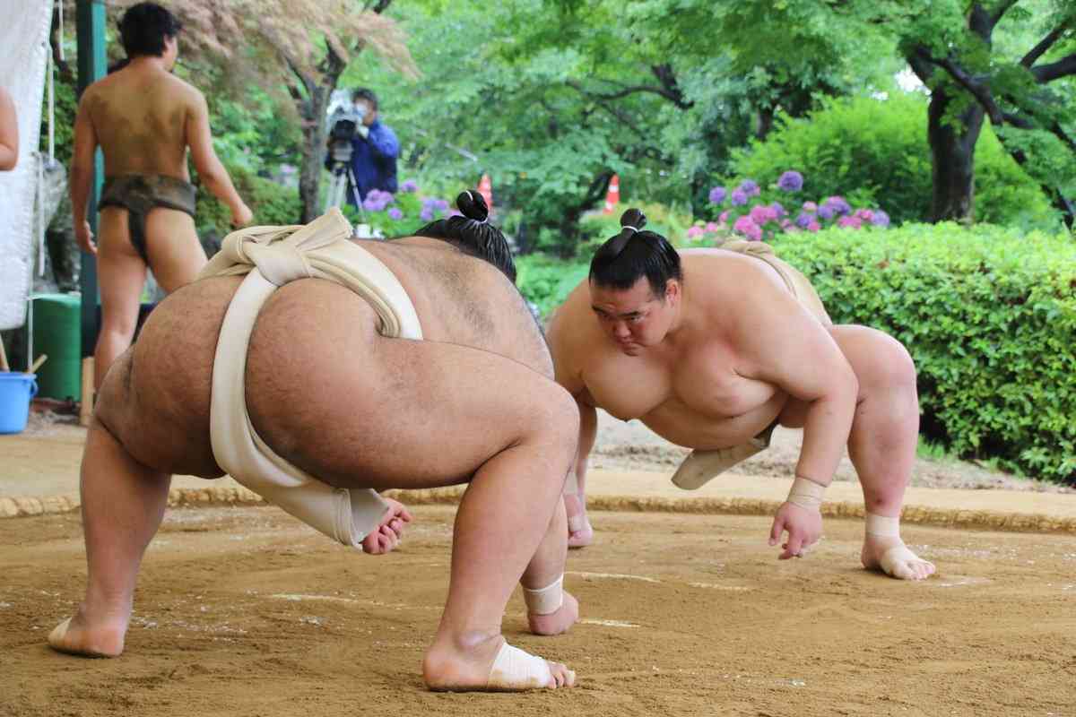 【大相撲名古屋場所】15日間を応援しながら見届けるトピ！