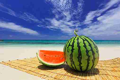 【画像】夏の、和風のものが見たい