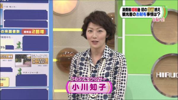 【蓮舫氏「二重国籍」会見】資料公開遅れは「子供が未成年だったから」と説明