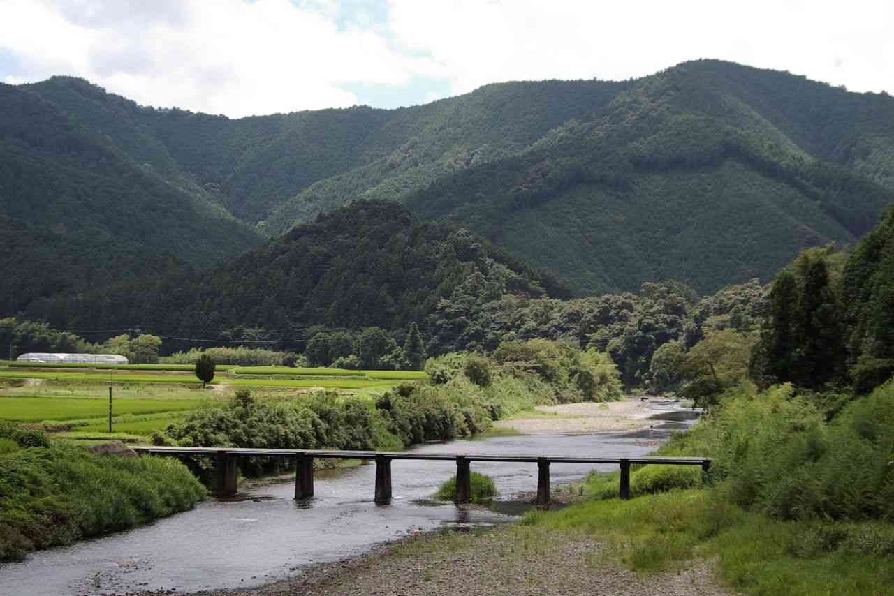 どこか切ない夏の画像を貼っていくトピ