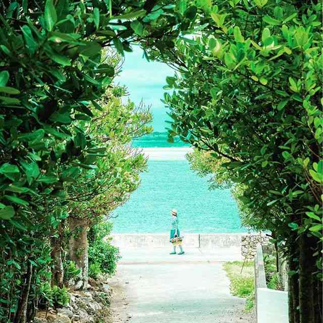 どこか切ない夏の画像を貼っていくトピ