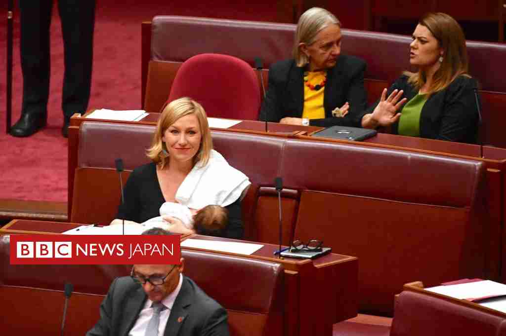 豪上院議員が辞職表明、二重国籍判明で　先週末から二人目 - BBCニュース