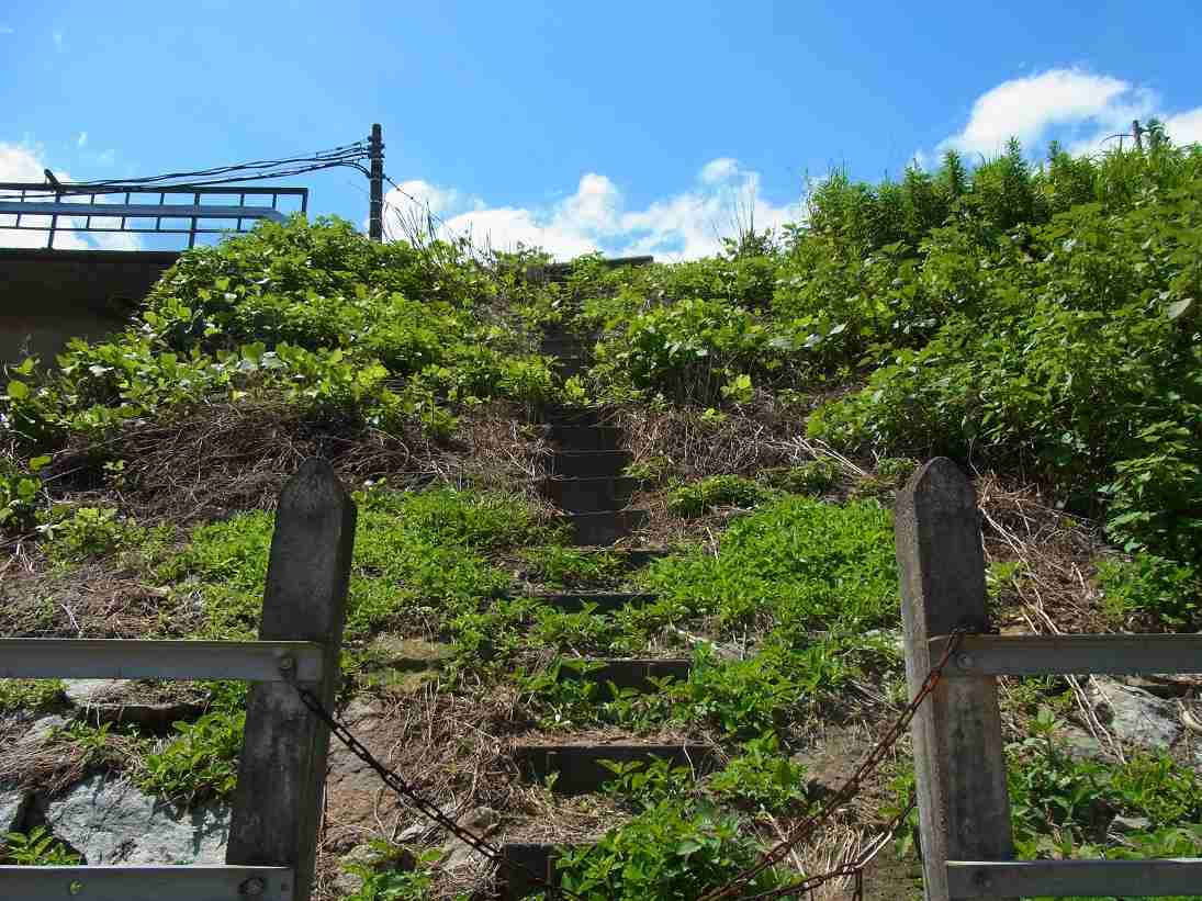 どこか切ない夏の画像を貼っていくトピ