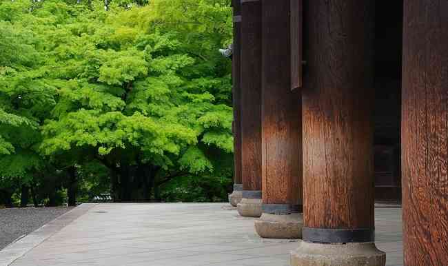 【画像】夏の、和風のものが見たい