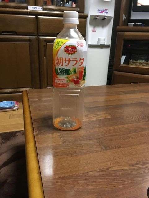 『猫のかくれんぼ写真』が激ムズと話題「マジで見つからない」「本当にいるの？」