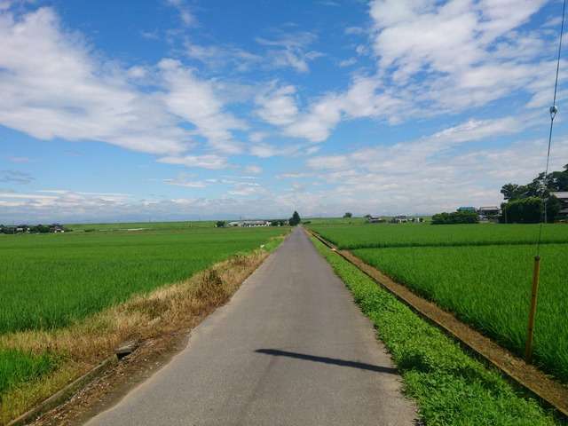 どこか切ない夏の画像を貼っていくトピ